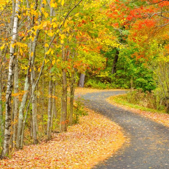 Fall Into New England: New England In The Fall Fall Into New England: New England In The Fall