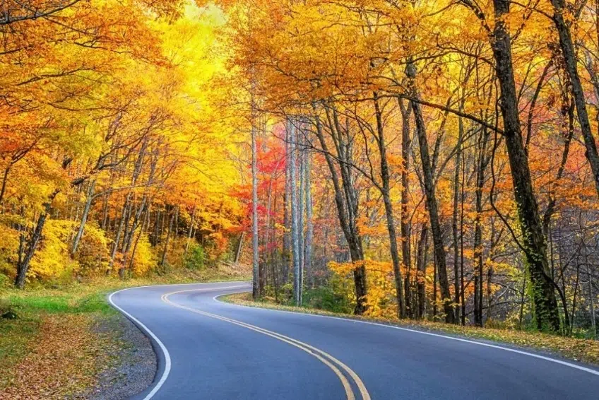 10 Places To See Vermont Fall Colors 10 Places To See Vermont Fall Colors