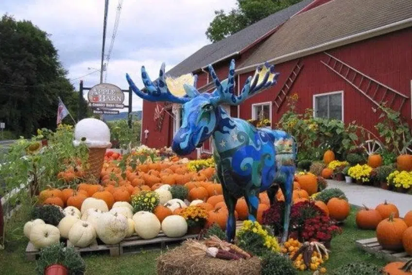 Bennington Vermont In The Fall