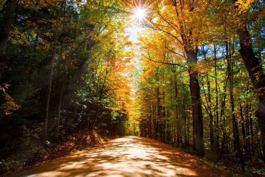 Burlington Vermont In The Fall