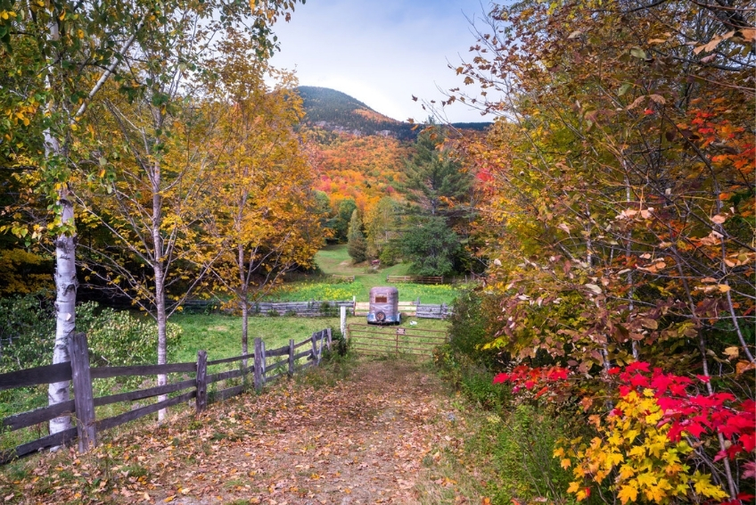 Grafton Vermont In Fall