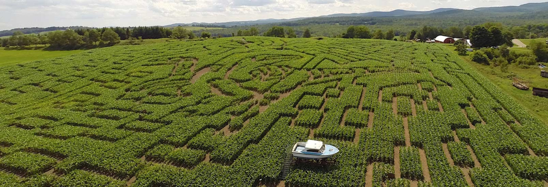 The Great Vermont Corn Maze