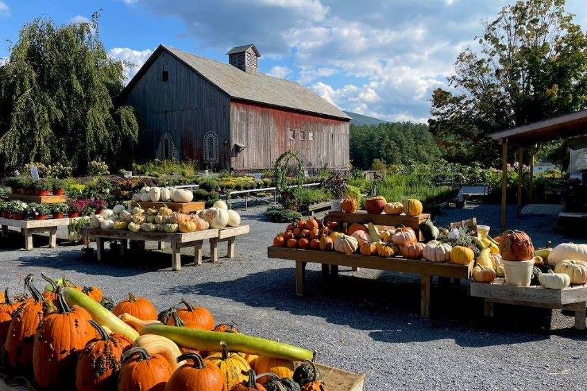 Manchester Vermont In The Fall