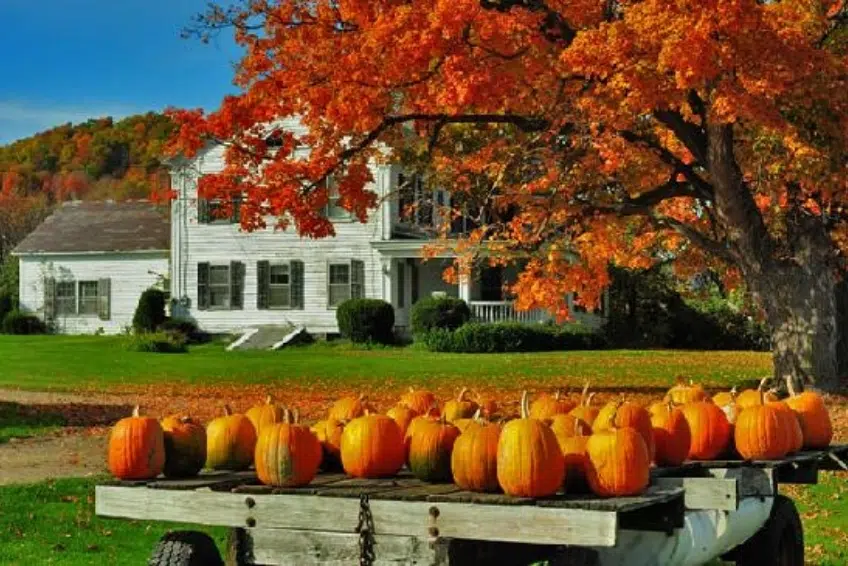 Manchester Vermont In The Fall