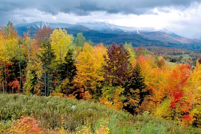 Montpelier Vermont In Fall