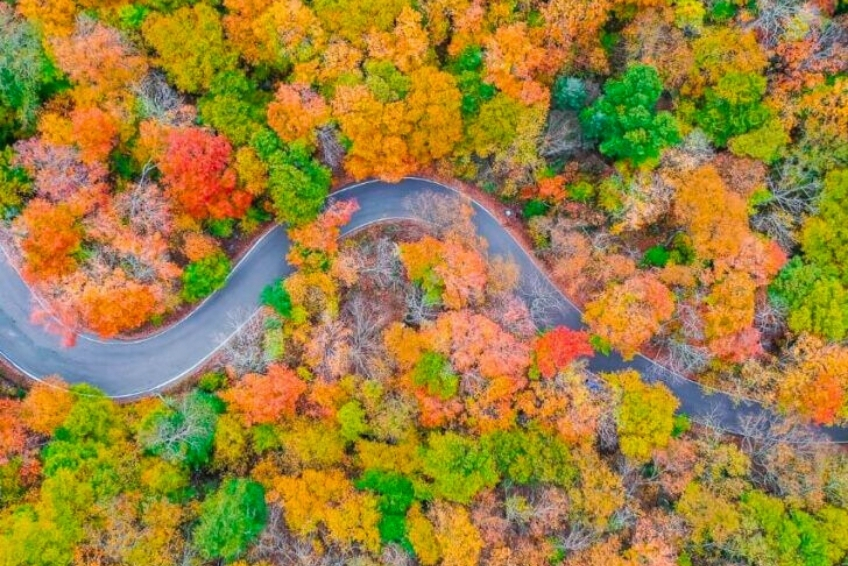 Stowe Vermont In Fall