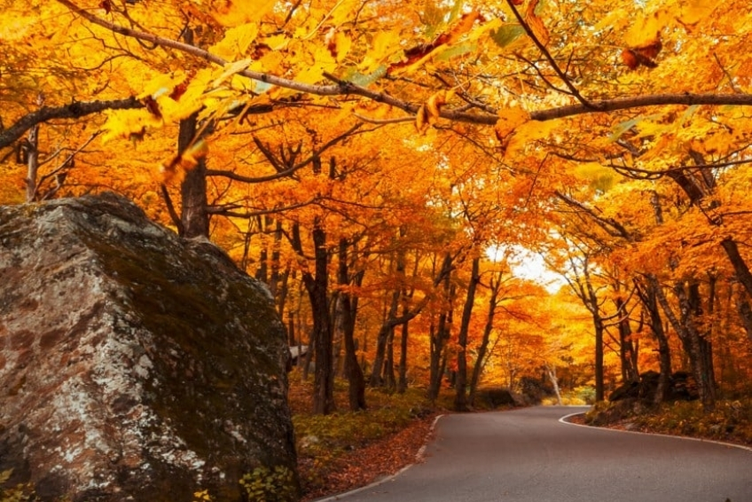 Stowe Vermont In Fall