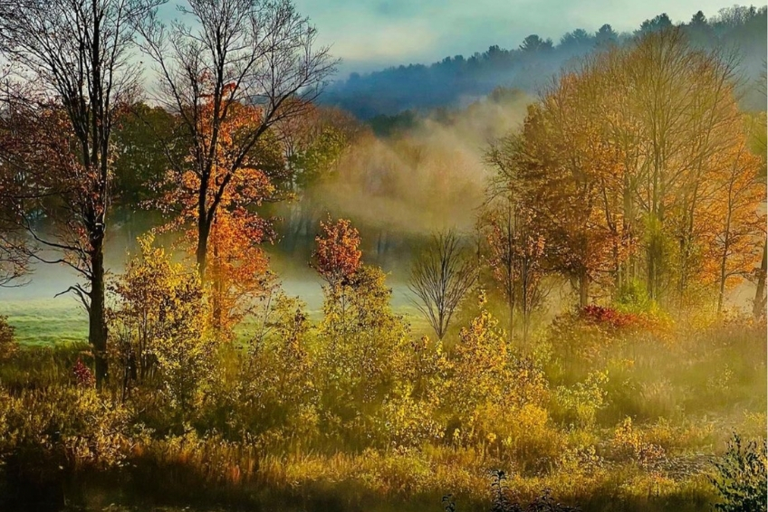 Fall view from The Shire Woodstock