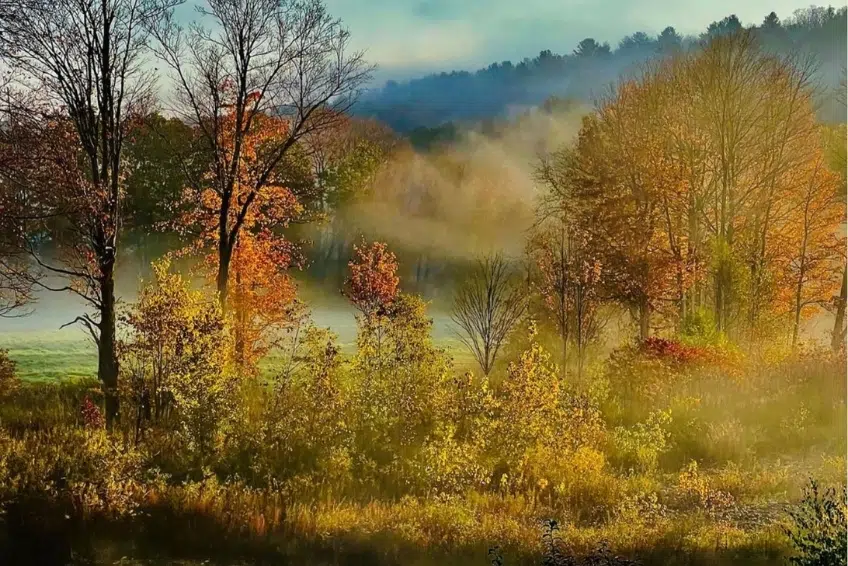 Fall view from The Shire Woodstock