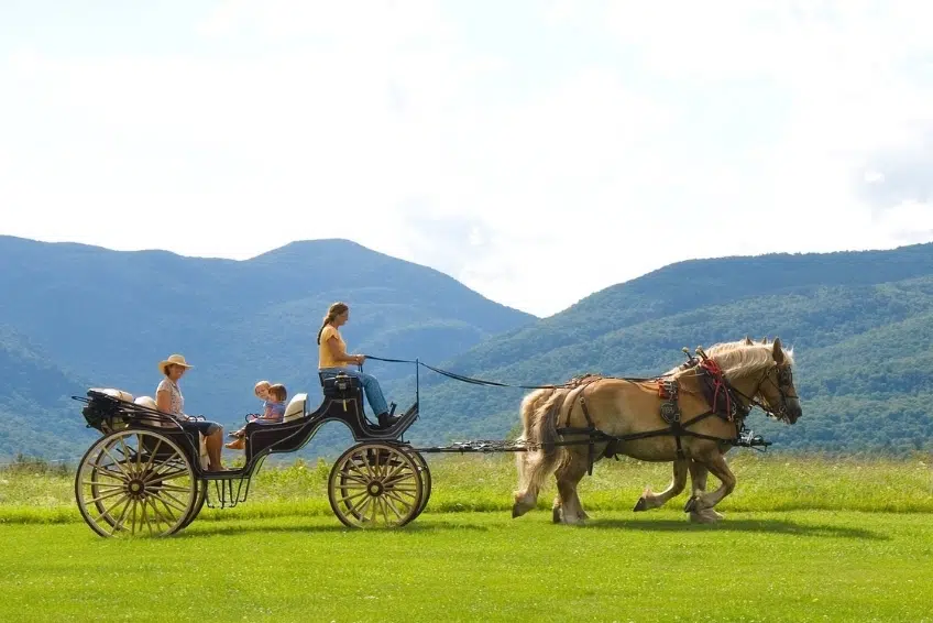 Horse drawn carriage rides at Trapp Family Lodge