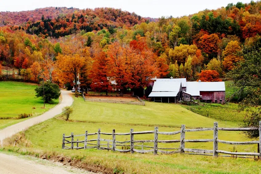 Quaint farm in Vermont during the fall