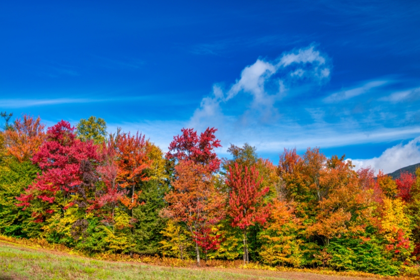 Vermont fall foliage