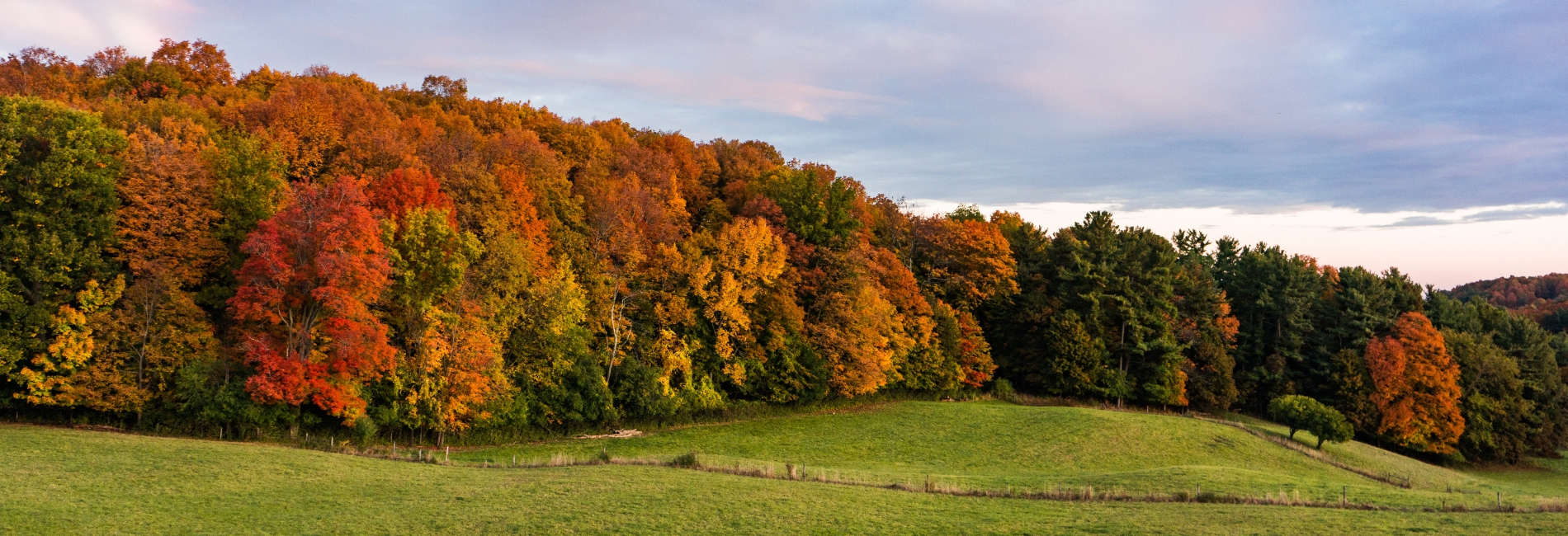 Vermont fall foliage
