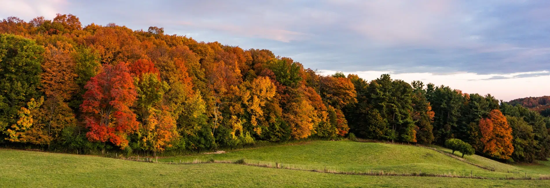 Vermont fall foliage