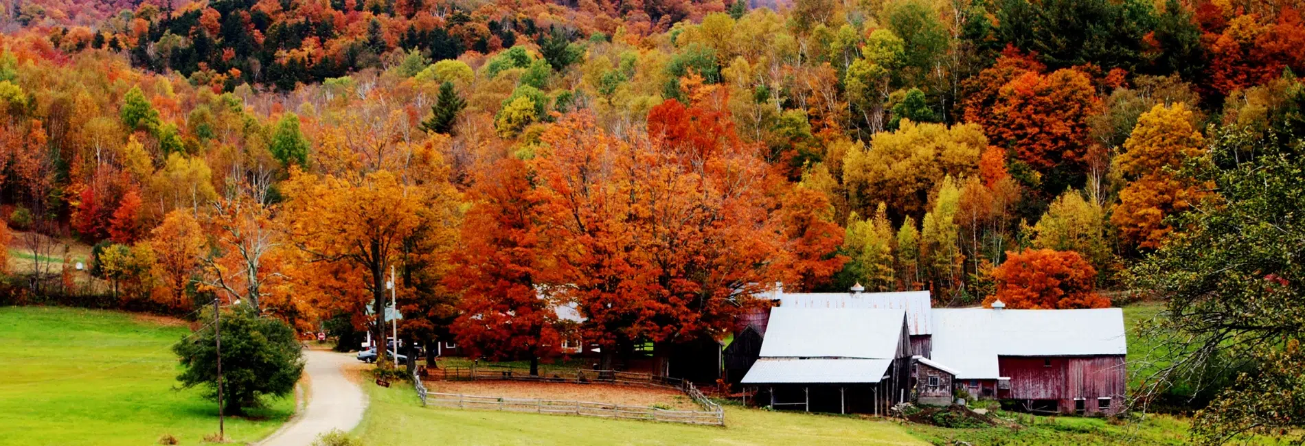 Quaint farm in Vermont during the fall