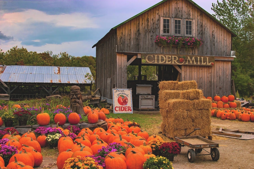 Visit a Cider Mill in Vermont in Fall