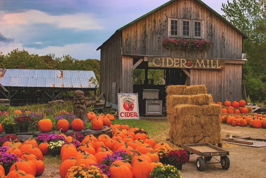 Visit a Cider Mill in Vermont in Fall
