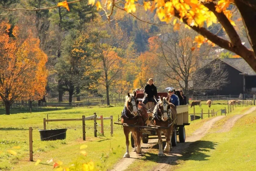 Woodstock Vermont In Fall