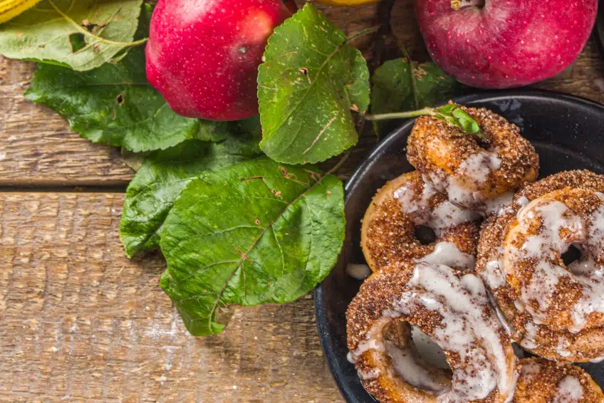 10. Eat All The Cider Donuts – It’s The Official State Dessert!