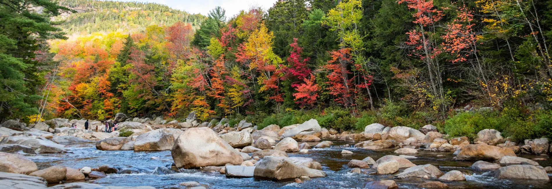 New Hampshire Fall Foliage Guide