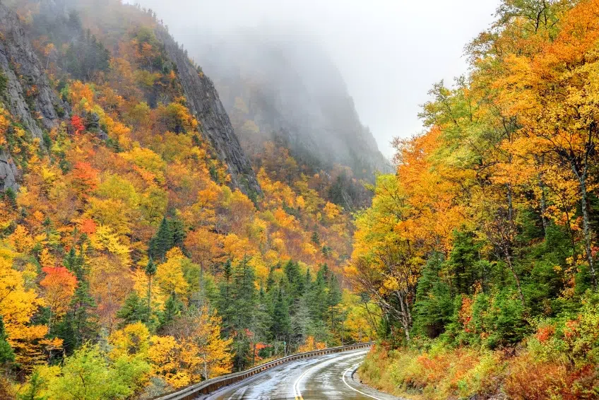 New Hampshire Fall Foliage Guide