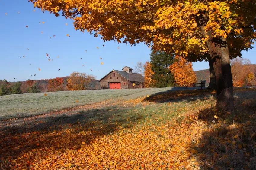 Connecticut Bed & Breakfast Guide Connecticut Bed & Breakfast Guide