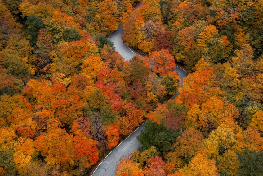 Green Mountain National Forest