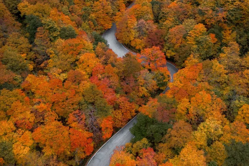 Green Mountain National Forest