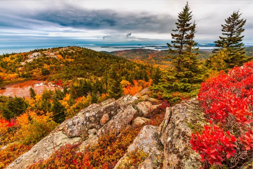 Cadillac Mountain