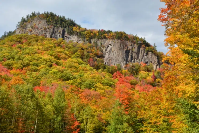 Crawford Notch State Park