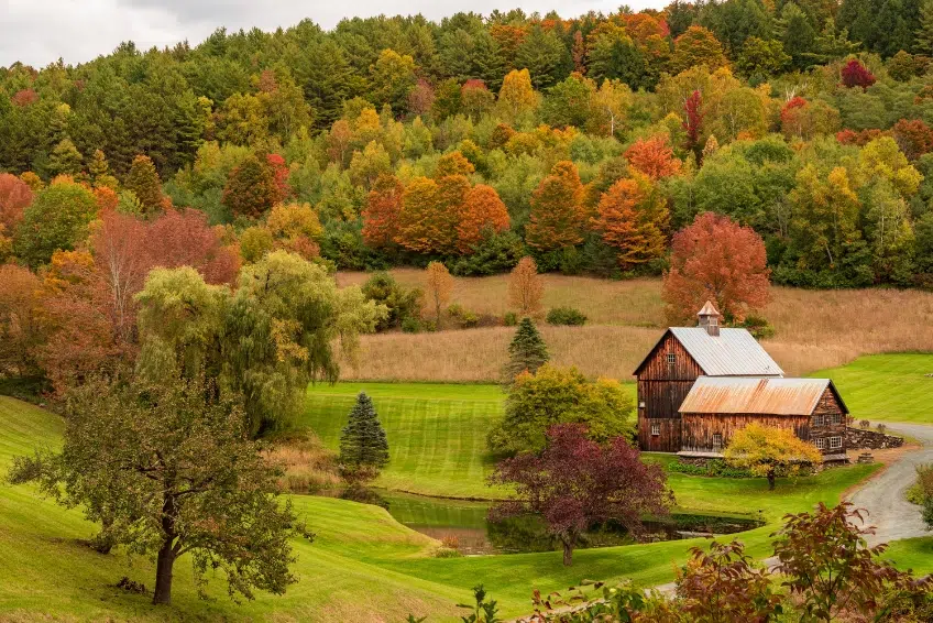 Woodstock Countryside