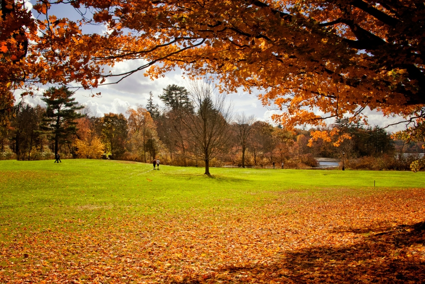 New England Fall Foliage 7 Day Itinerary