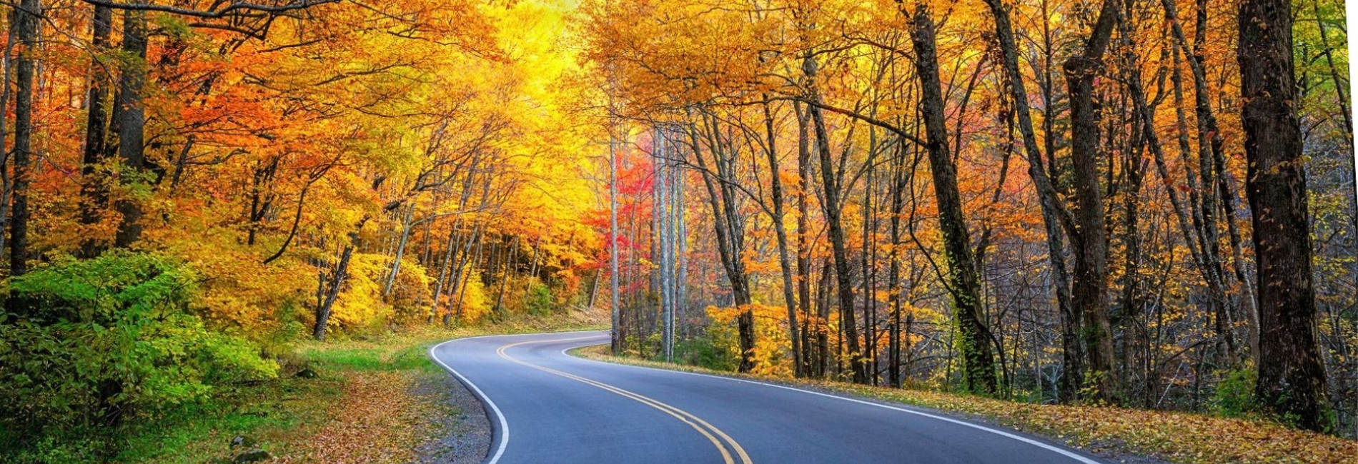 New England Fall Foliage Itinerary