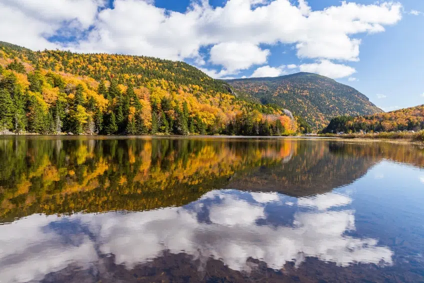 New Hampshire Bed and Breakfast Guide: The Best Bed & Breakfasts in New Hampshire New Hampshire Bed and Breakfast Guide: The Best Bed & Breakfasts in New Hampshire